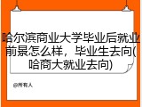 哈尔滨商业大学毕业后就业前景怎么样，毕业生去向(哈商大就业去向)
