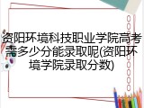 资阳环境科技职业学院高考需多少分能录取呢(资阳环境学院录取分数)