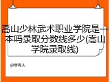 嵩山少林武术职业学院是一本吗录取分数线多少(嵩山学院录取线)