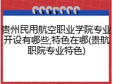 贵州民用航空职业学院专业开设有哪些,特色在哪(贵航职院专业特色)
