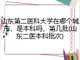 山东第二医科大学在哪个城市，是本科吗，第几批(山东二医本科批次)