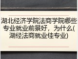 湖北经济学院法商学院哪些专业就业前景好，为什么(湖经法商就业佳专业)