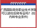 广西国际商务职业技术学院可以进校后转专业吗？(校内转专业条件)