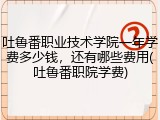 吐鲁番职业技术学院一年学费多少钱，还有哪些费用(吐鲁番职院学费)