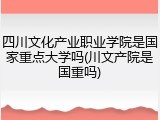 四川文化产业职业学院是国家重点大学吗(川文产院是国重吗)