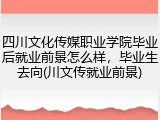 四川文化传媒职业学院毕业后就业前景怎么样，毕业生去向(川文传就业前景)