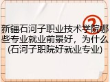 新疆石河子职业技术学院哪些专业就业前景好，为什么(石河子职院好就业专业)