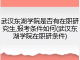 武汉东湖学院是否有在职研究生,报考条件如何(武汉东湖学院在职研条件)