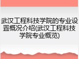 武汉工程科技学院的专业设置概况介绍(武汉工程科技学院专业概览)