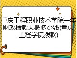 重庆工程职业技术学院一年财政拨款大概多少钱(重庆工程学院拨款)