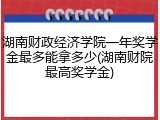 湖南财政经济学院一年奖学金最多能拿多少(湖南财院最高奖学金)