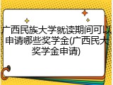 广西民族大学就读期间可以申请哪些奖学金(广西民大奖学金申请)