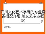 四川文化艺术学院的专业设置概况介绍(川文艺专业概览)