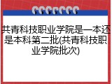 共青科技职业学院是一本还是本科第二批(共青科技职业学院批次)
