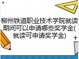 柳州铁道职业技术学院就读期间可以申请哪些奖学金(就读可申请奖学金)