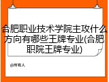 合肥职业技术学院主攻什么方向有哪些王牌专业(合肥职院王牌专业)
