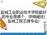 盐城工业职业技术学院最好的专业是哪个，详细阐述(盐城工院王牌专业)