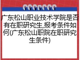 广东松山职业技术学院是否有在职研究生,报考条件如何(广东松山职院在职研究生条件)