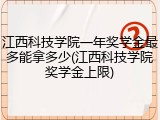 江西科技学院一年奖学金最多能拿多少(江西科技学院奖学金上限)