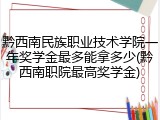 黔西南民族职业技术学院一年奖学金最多能拿多少(黔西南职院最高奖学金)