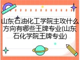 山东石油化工学院主攻什么方向有哪些王牌专业(山东石化学院王牌专业)