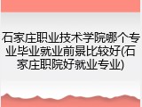 石家庄职业技术学院哪个专业毕业就业前景比较好(石家庄职院好就业专业)