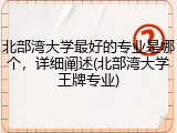北部湾大学最好的专业是哪个，详细阐述(北部湾大学王牌专业)
