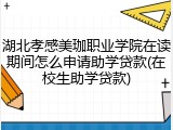 湖北孝感美珈职业学院在读期间怎么申请助学贷款(在校生助学贷款)