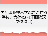 内江职业技术学院是否有双学位，为什么(内江职院双学位原因)
