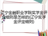 辽宁金融职业学院奖学金评定细则是怎样的(辽宁奖学金评定细则)