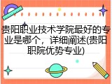 贵阳职业技术学院最好的专业是哪个，详细阐述(贵阳职院优势专业)