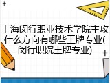 上海闵行职业技术学院主攻什么方向有哪些王牌专业(闵行职院王牌专业)