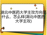 湖北中医药大学主攻方向是什么，怎么样(湖北中医药大学主攻)