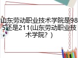 山东劳动职业技术学院是985还是211(山东劳动职业技术学院？)