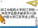 浙江中医药大学滨江学院一年奖学金最多能拿多少(浙中医大滨江奖学金上限)