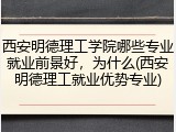 西安明德理工学院哪些专业就业前景好，为什么(西安明德理工就业优势专业)