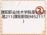濮阳职业技术学院是985还是211(濮阳职院985211？)