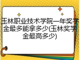玉林职业技术学院一年奖学金最多能拿多少(玉林奖学金最高多少)