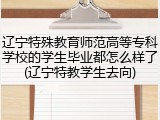辽宁特殊教育师范高等专科学校的学生毕业都怎么样了(辽宁特教学生去向)