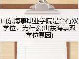 山东海事职业学院是否有双学位，为什么(山东海事双学位原因)