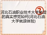 河北石油职业技术大学就读的真实感觉如何(河北石油大学就读体验)