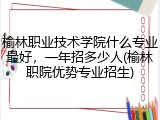 榆林职业技术学院什么专业最好，一年招多少人(榆林职院优势专业招生)