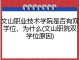 文山职业技术学院是否有双学位，为什么(文山职院双学位原因)