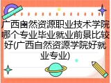 广西自然资源职业技术学院哪个专业毕业就业前景比较好(广西自然资源学院好就业专业)