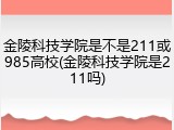 金陵科技学院是不是211或985高校(金陵科技学院是211吗)