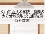 文山职业技术学院一般要多少分才能录取(文山职院录取分数线)