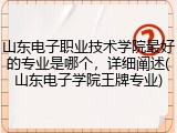 山东电子职业技术学院最好的专业是哪个，详细阐述(山东电子学院王牌专业)