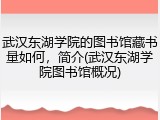 武汉东湖学院的图书馆藏书量如何，简介(武汉东湖学院图书馆概况)