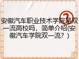安徽汽车职业技术学院是双一流高校吗，简单介绍(安徽汽车学院双一流？)