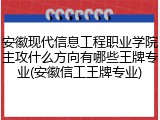 安徽现代信息工程职业学院主攻什么方向有哪些王牌专业(安徽信工王牌专业)